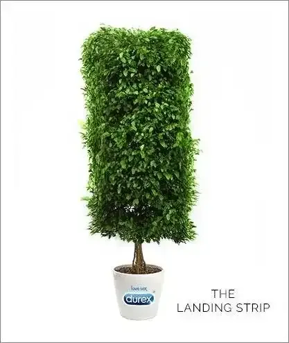lady-gardening-6-pubic-hair-styles-for-women-2.webp