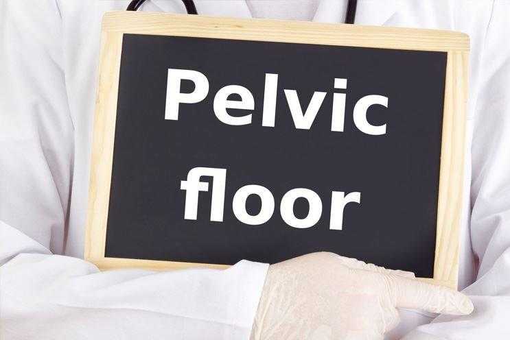 doctor with a pelvic floor phrase on a board